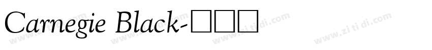 Carnegie Black字体转换